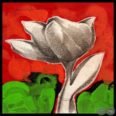 FLORES - Acrílicos de FÉLIX TORANZOS